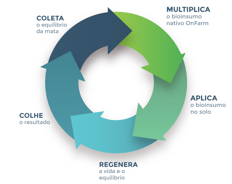 Ciclo OnFarm Origem Bio