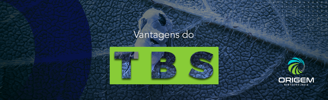 Quais as vantagens do Tratamento Biológico do Solo? 