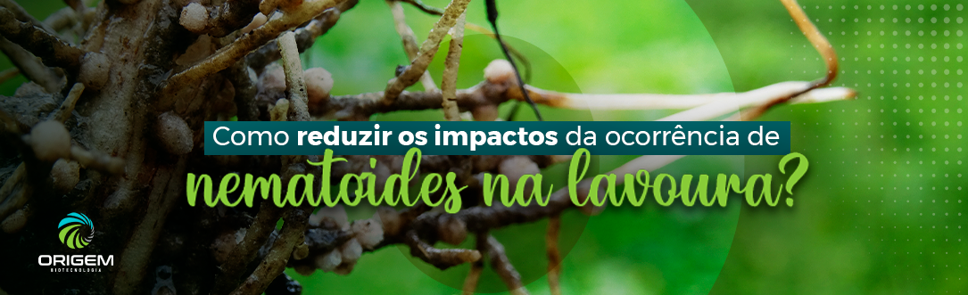 Como reduzir os impactos da ocorrência de nematoides na lavoura?