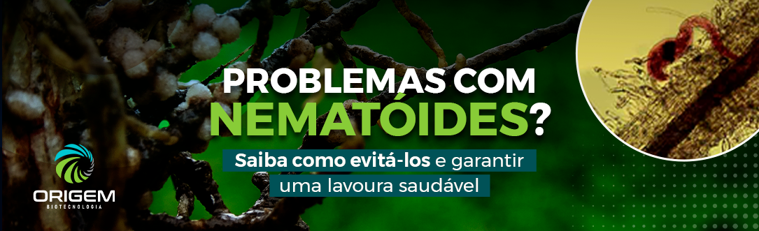 Problemas com nematoides? Saiba como evitá-los e garantir uma lavoura saudável