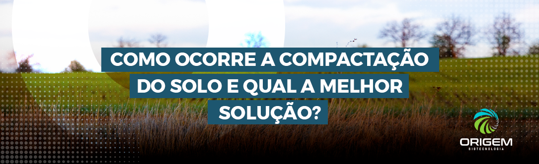 Como ocorre a compactação do solo e qual a melhor solução?