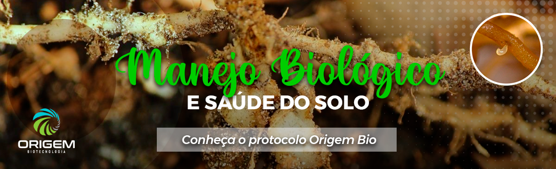 Manejo biológico e saúde do solo