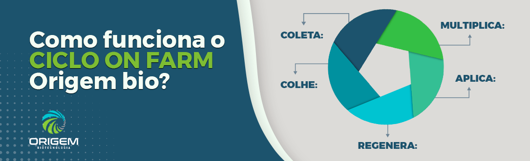 Como funciona o ciclo On Farm Origem?