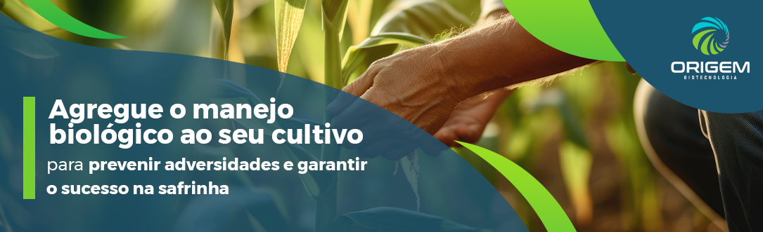 Agregue o manejo biológico ao seu cultivo para prevenir adversidades e garantir o sucesso na safrinha