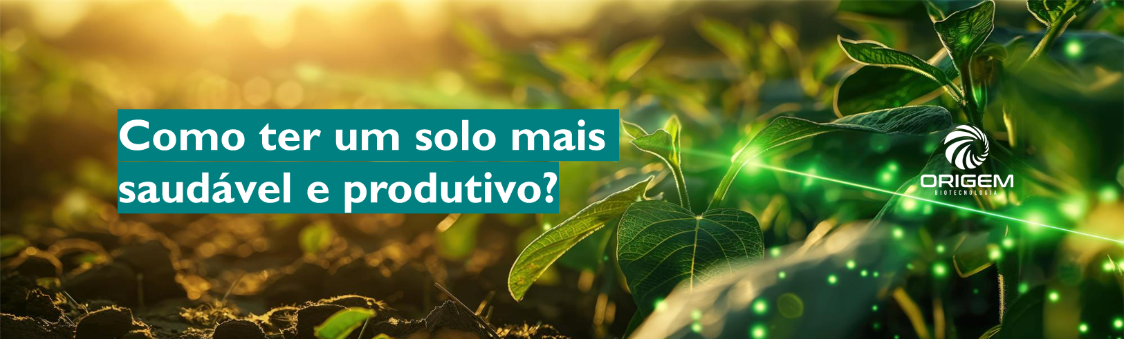 Como ter um solo mais saudável e produtivo?